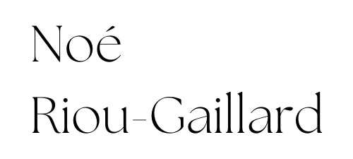 Noé Riou-Gaillard