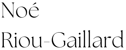 Noé Riou-Gaillard